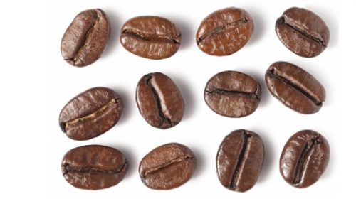 Hạt cà phê ngon được chọn như vậy